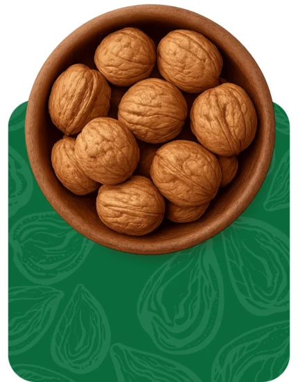 گردو